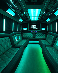 28 passenger party bus