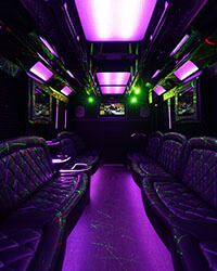 30 passenger party bus