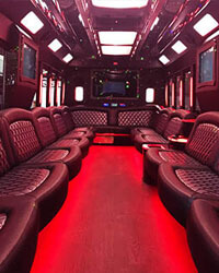 43 passenger party bus rentals